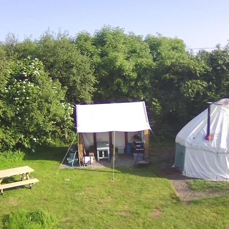 Mill Haven Place Glamping-Yurt 2 Haverfordwest Buitenkant foto