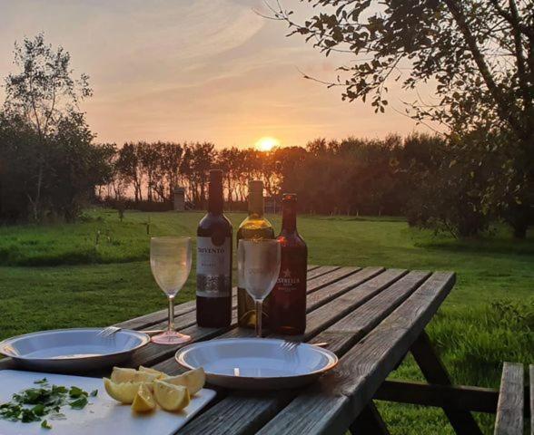 Mill Haven Place Glamping-Yurt 2 Haverfordwest Buitenkant foto