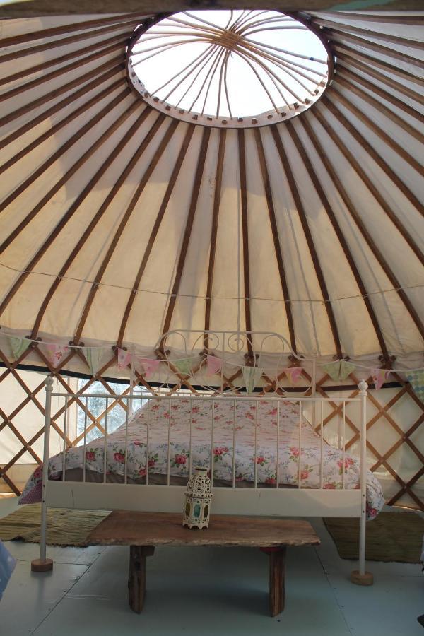 Mill Haven Place Glamping-Yurt 2 Haverfordwest Buitenkant foto
