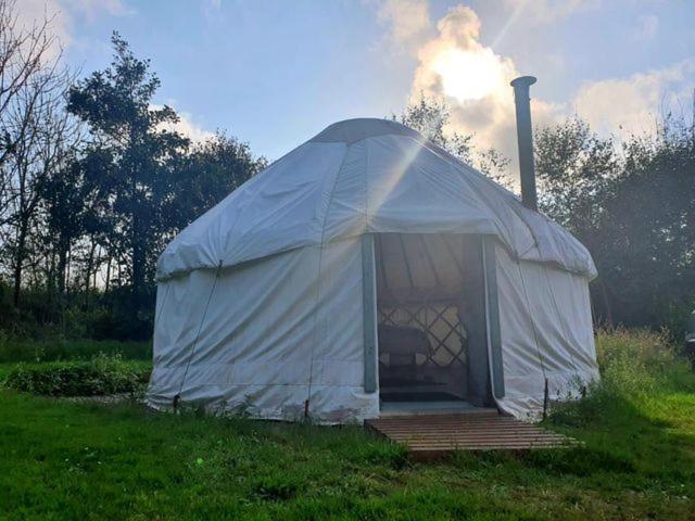 Mill Haven Place Glamping-Yurt 2 Haverfordwest Buitenkant foto